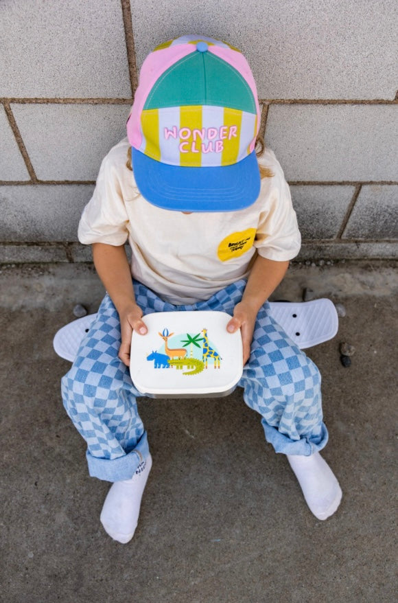 Stainless steel lunchbox CROC ROCK