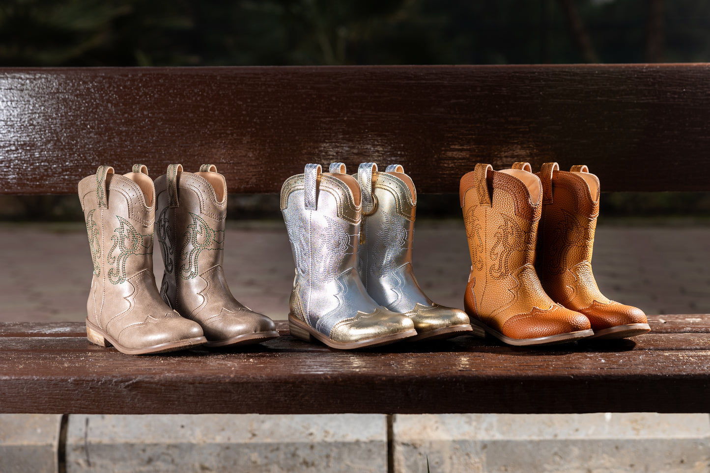 Silver and gold cowboy boot