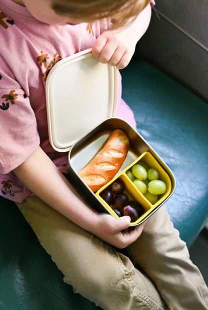 Stainless steel lunchbox FUNKY DOGS