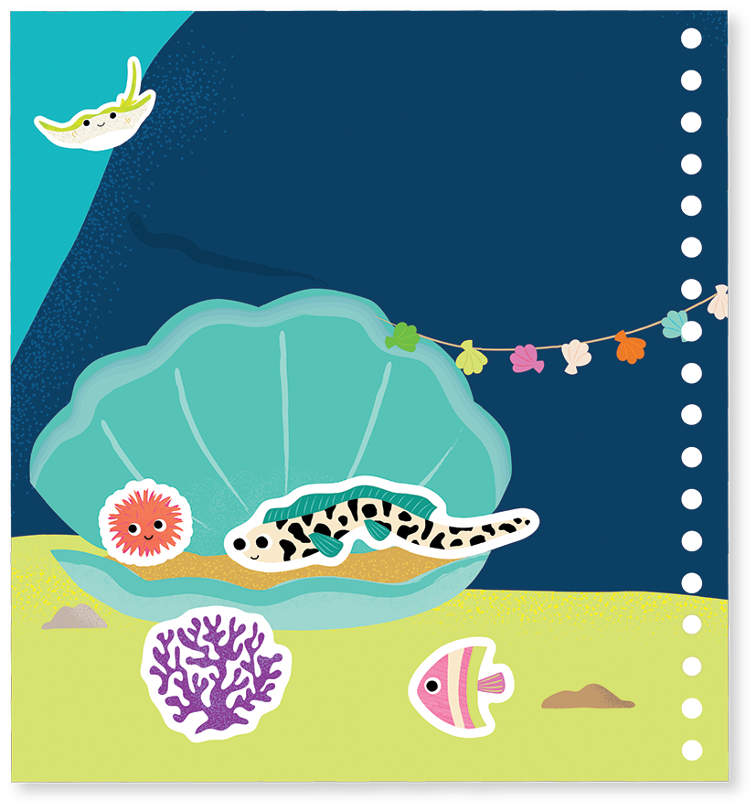 MAGIC MULTI PLAY - OCEAN