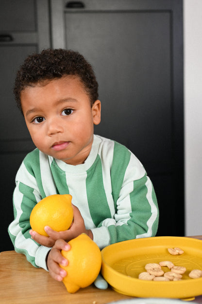 Alfie the Lion Dish Jade